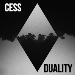 Duality
