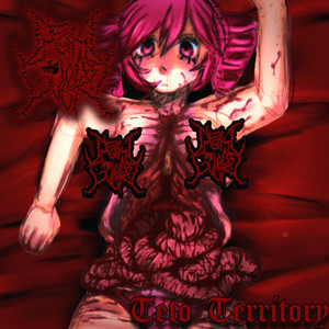 Decay Country - Teto Territory (Cover)
