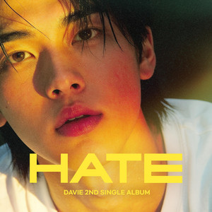 HATE by DAVIE