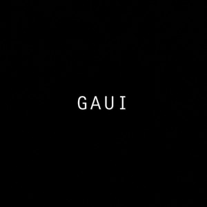 GAUI by VeelHeat