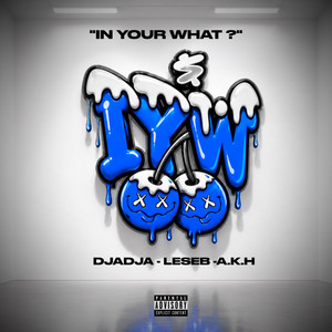 In Your What ? by Djadja, Leseb