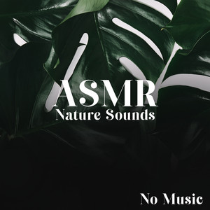 ASMR Nature Sounds (No Music) Deep Sleep and Relaxation & Rain, Ocean Waves, River and Singing Birds album