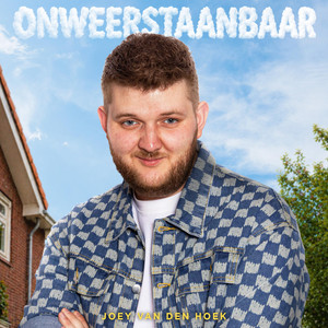 Onweerstaanbaar