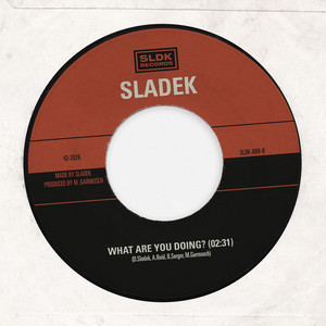 What Are You Doing? - Instrumental by Sladek