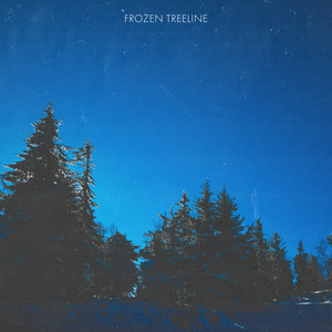 Frozen Treeline by Winter Meadow