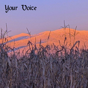 Your Voice by Eli Carrier
