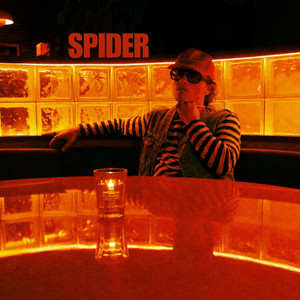 Spider by Lane Michael