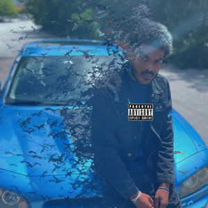 BigCob - Igloo