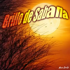 Brillo de Sabana by Nuru Caribe