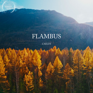 Flambus by Vincent Corver, Caelus