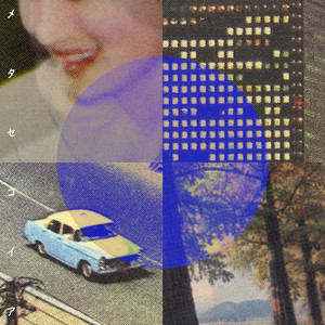 メタセコイア by blend house, sucola