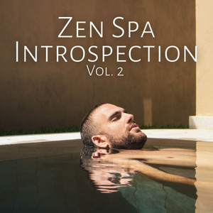 Zen Spa Introspection Vol. 2 album