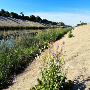 Concrete and Nature by Nathan Kersey-Wilson, J Fletch