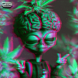 In the Brain by Gege, Wizty