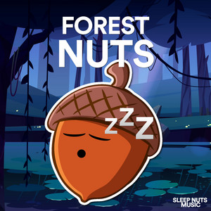 Waldgeräusche, Vogelgeräusche, Einschlafgeräusche, Pt. 63 by Sleep Nuts Music Album Cover