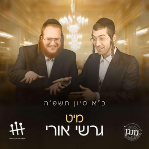6.17.2025 Wedding (Meilech Halpern Productions, Gershi Uri, Avrum Mordche Schwartz)