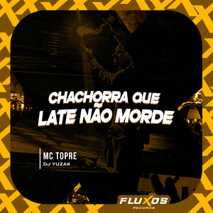 Cachorra Que Late Não Morde