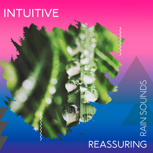 zZz Intuitive Reassuring Rain Sounds zZz album