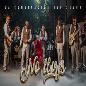 LA COMBINACIÓN DEL SABOR - No Llores