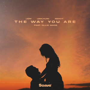 The Way You Are by JDM, UNK.Huni, Aexcit, Ollie Wade