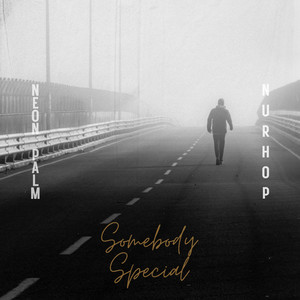 Somebody Special by Neon Palm, Nurhop