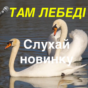 Музика і виконання Олександр Соколов — Там лебеді