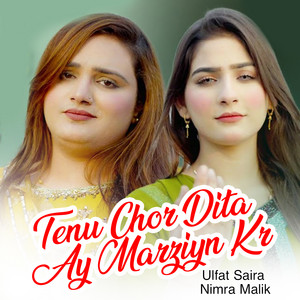 Tenu Chor Dita Ay Marziyn Kr