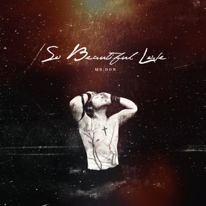 So Beautiful Love cover