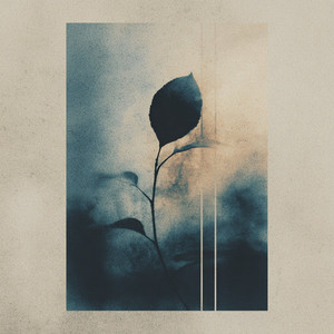 Flowing by LÜME