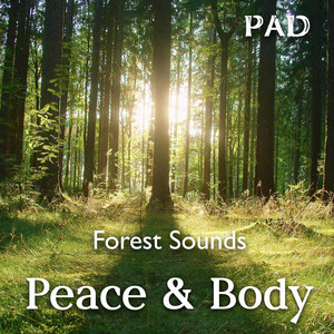 Peace And Body PAD - Wind of Calm