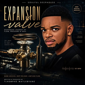 Expansion Valve by Tlhompho Matlebyane