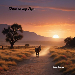 Dust in my Eye by David Tatterson
