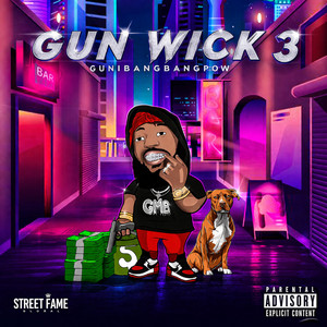 Gun Wick 3
