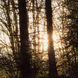 sunlight by clazu