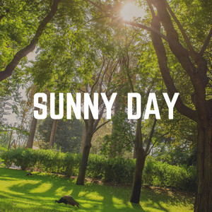 Sunny Day album