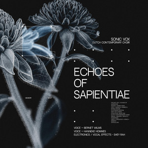 Echoes of Sapientiae by Sonic Vox, Rolinde Zieverink, Hanneke Hommes, Bernet Wilms, Shey Rah