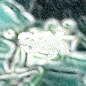 Portada de Ssx