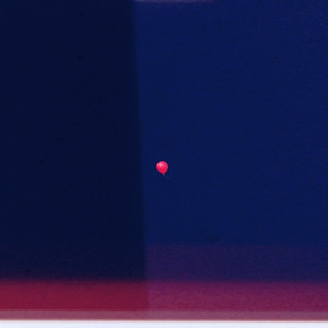 House of Balloons by SAMOSAMO