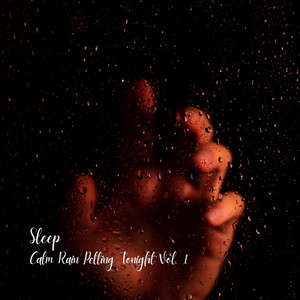 Sleep: Overnight Fall of Soothing Rain Vol. 1 album