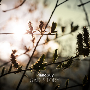 Обкладинка: Sad Story