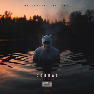 Cobras by Lee Mvp