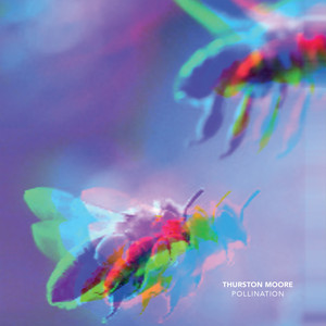 Portada de Pollination