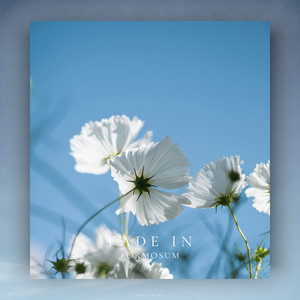 Fade In — cover art by Formismetal