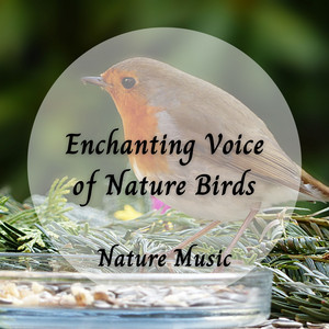 Nature Music: Enchanting Voice of Nature Birds album