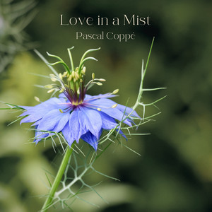 Love in a Mist by Pascal Coppé