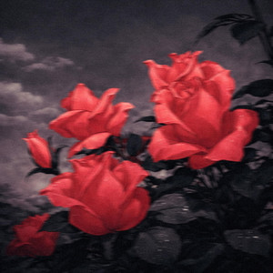 National anthem - slowed + reverb by Velocite