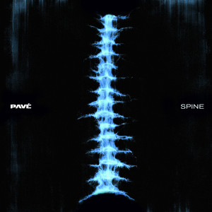 Spine by PAVÉ
