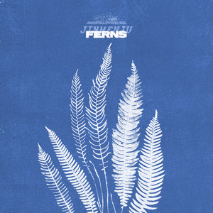 Ferns by Jinmenju