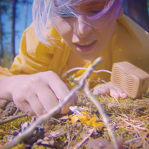 Mycelium (Step By Step)