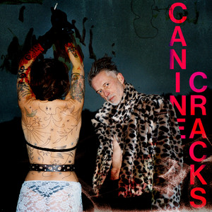 Wires & Fires by Canine Cracks, Camion Bazar